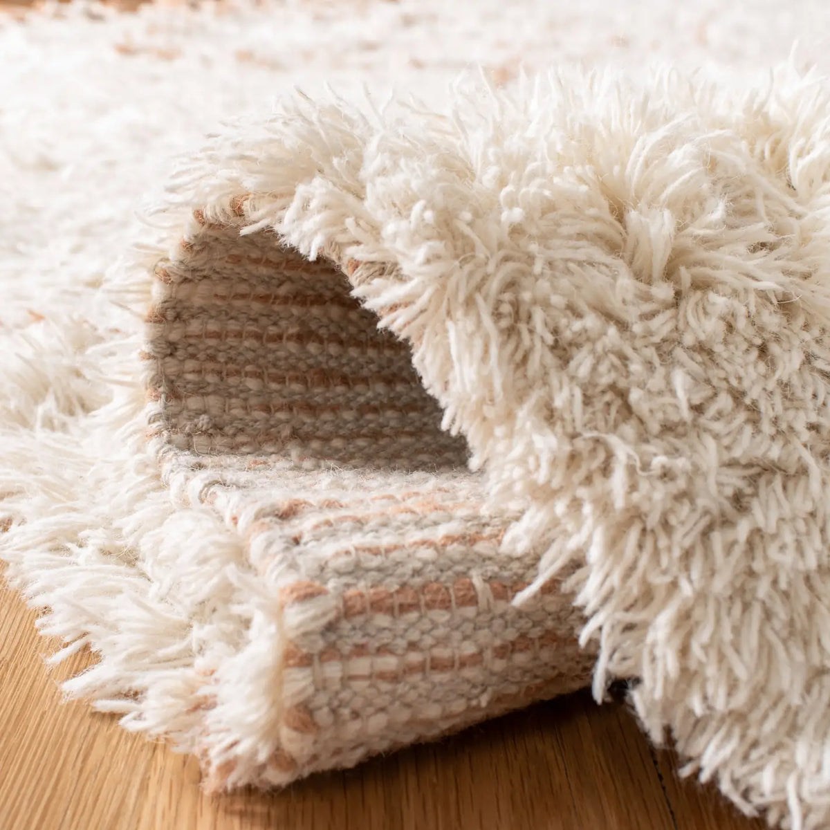 Safavieh Casablanca 4'-0" x 6'-0" Rug in Rust / Ivory