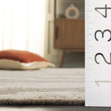 Safavieh Mirage 6'-0" x 9'-0" Rug in Brown / Grey
