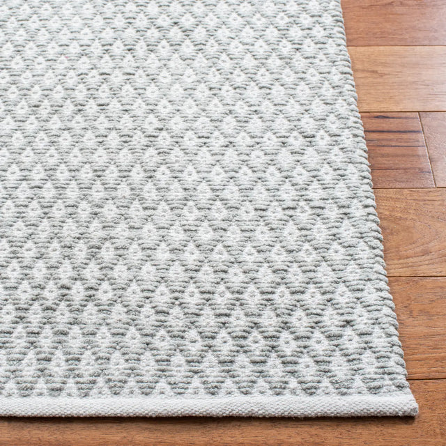 Safavieh Boston 4'-0" x 6'-0" Rug in Grey