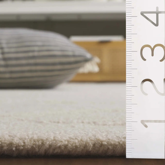 Safavieh Rodeo Drive 4'-0" x 6'-0" Rug in Ivory