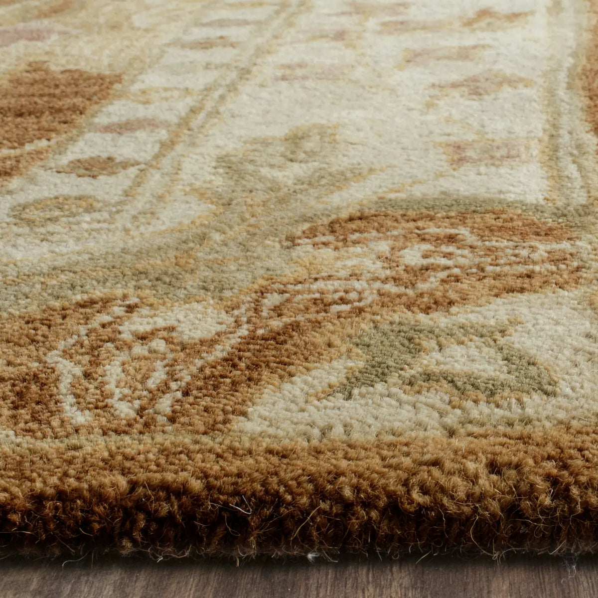 Safavieh Antiquity 4'-0" x 6'-0" Rug in Brown / Beige