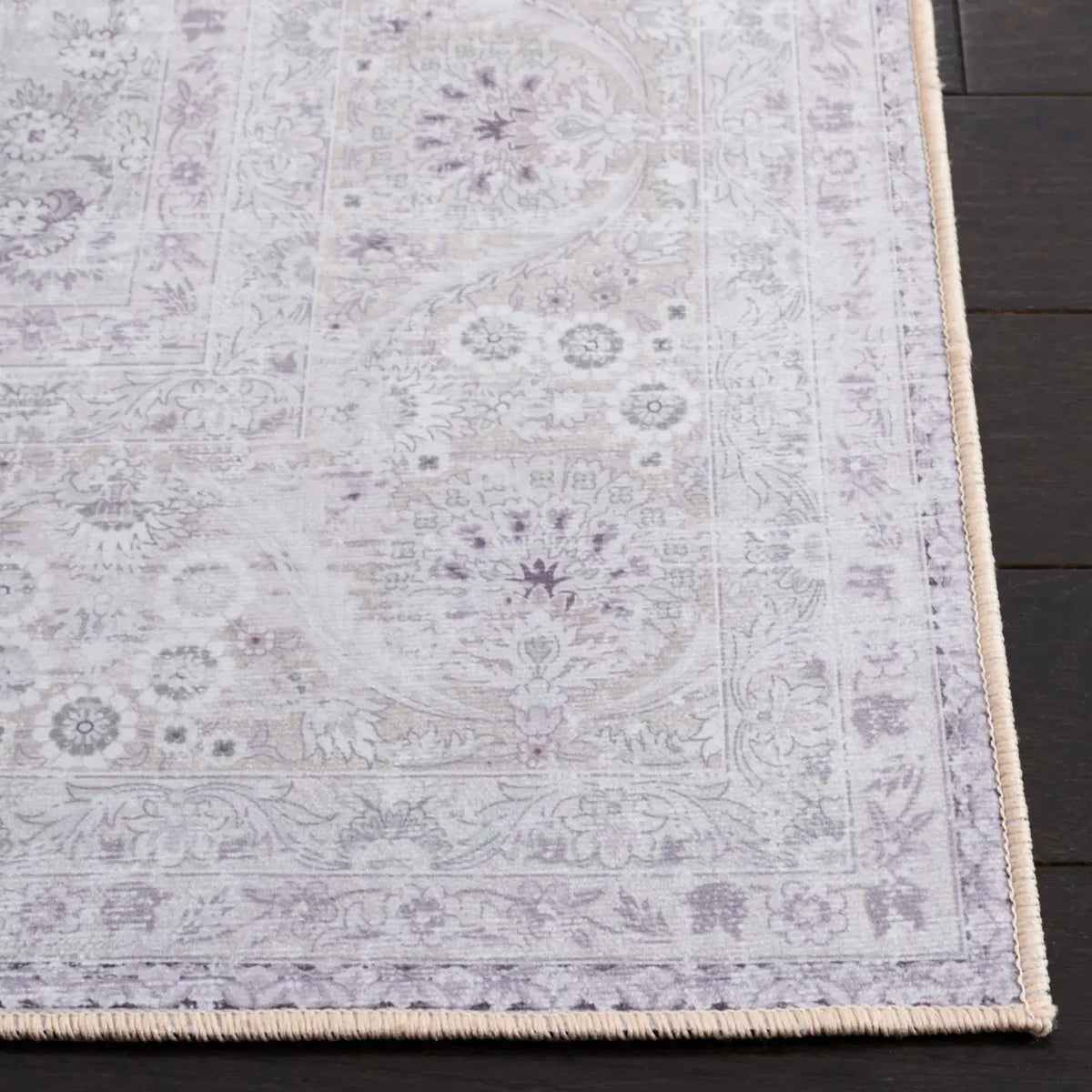 Safavieh Tucson 4'-0" x 6'-0" Rug in Beige / Beige