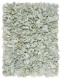 Safavieh Rio Shag 2'-6" x 4'-0" Rug in Light Green