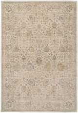 Dynamic Rugs Bloomfield 19606 Power Loomed Traditional Beige/Grey/Cream Rug - Rectangular