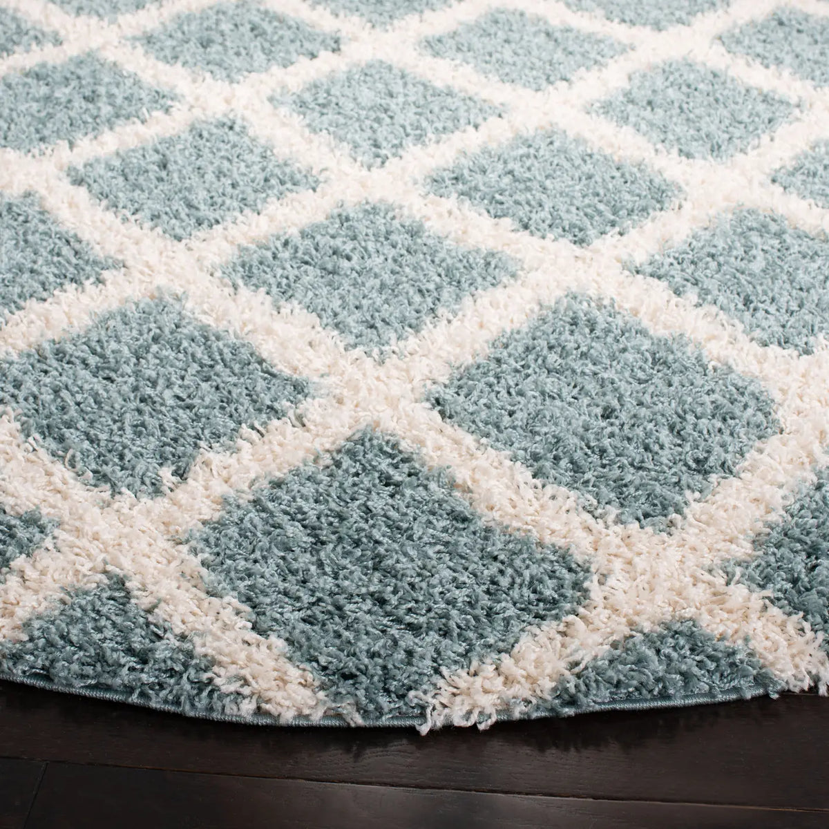 Safavieh Sgd-Dallas Shag 6'-0" x 6'-0" Rug in Seafoam / Ivory