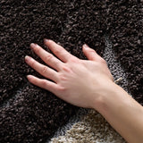 Safavieh Florida Shag 3'-3" x 5'-3" Rug in Dark Brown / Ivory