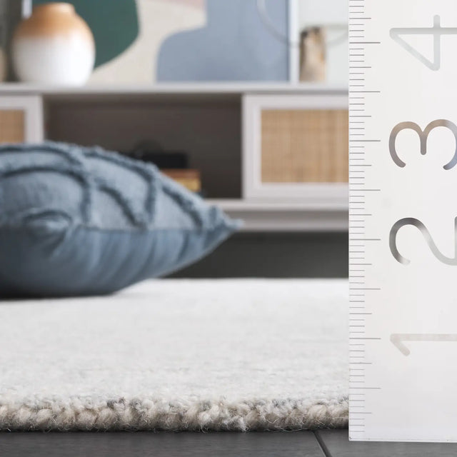 Safavieh Ebony 4'-0" x 6'-0" Rug in Grey / Ivory
