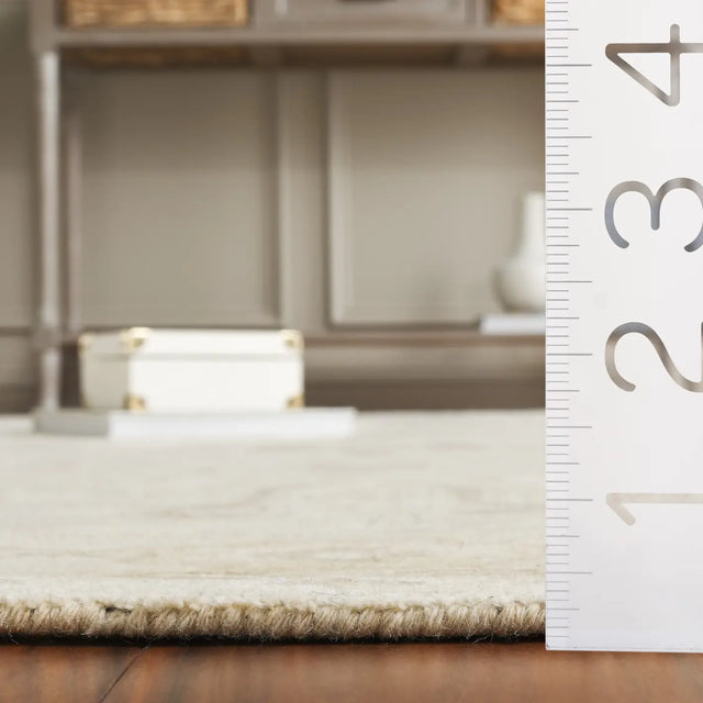 Safavieh Kenya 4'-0" x 6'-0" Rug in Beige / Ivory