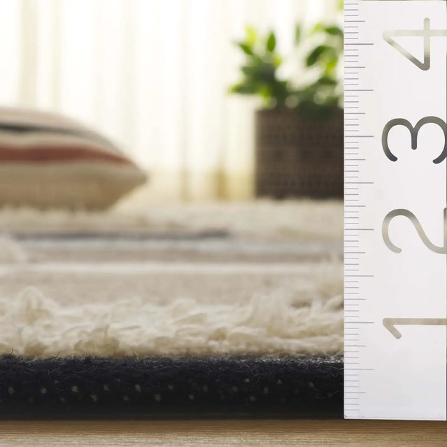 Safavieh Kenya 4'-0" x 6'-0" Rug in Black / Ivory