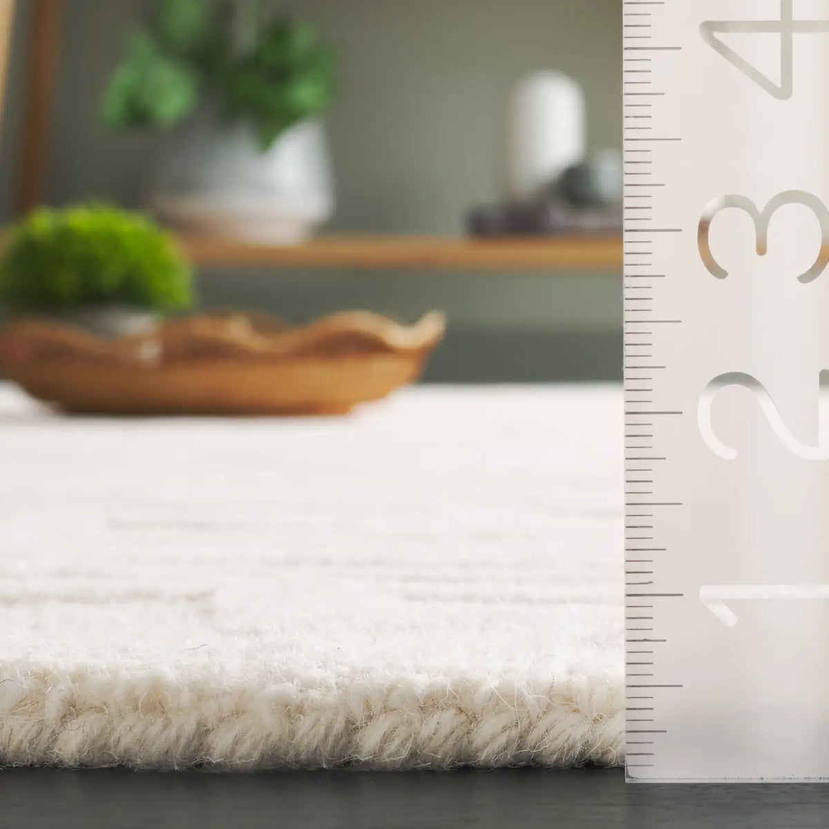 Safavieh Ebony 4'-0" x 6'-0" Rug in Ivory