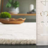 Safavieh Ebony 4'-0" x 6'-0" Rug in Ivory