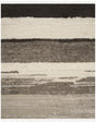 Safavieh Kenya 10'-0" x 14'-0" Rug in Ivory / Grey