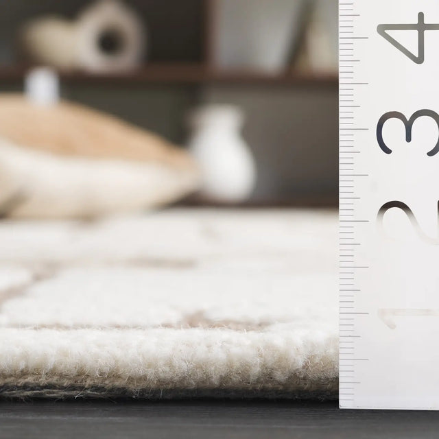 Safavieh Ebony 4'-0" x 6'-0" Rug in Ivory / Brown
