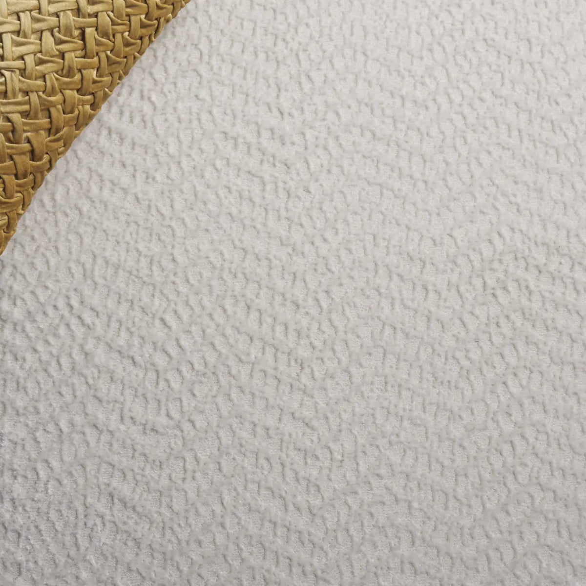 Safavieh Saylor 100 4'-0" x 6'-0" Rug in Ivory