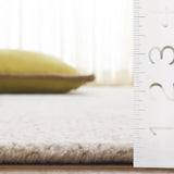 Safavieh Ebony 4'-0" x 6'-0" Rug in Grey / Ivory