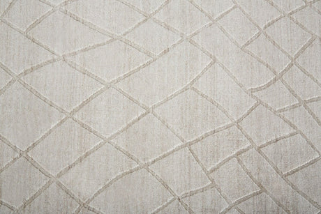 Feizy Redford 8846F Beige Rug.