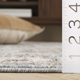 Safavieh Antique Patina 4'-0" x 5'-7" Rug in Blue / Beige