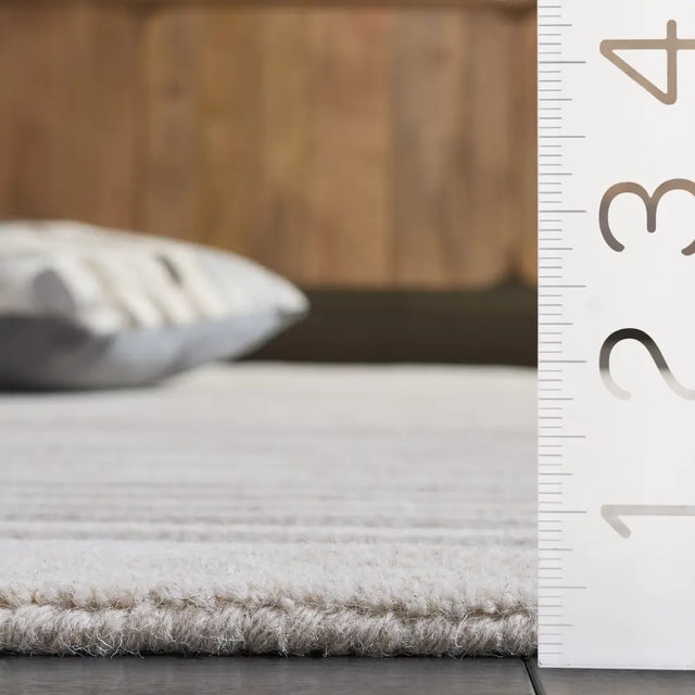 Safavieh Ebony 5'-0" x 8'-0" Rug in Grey / Ivory