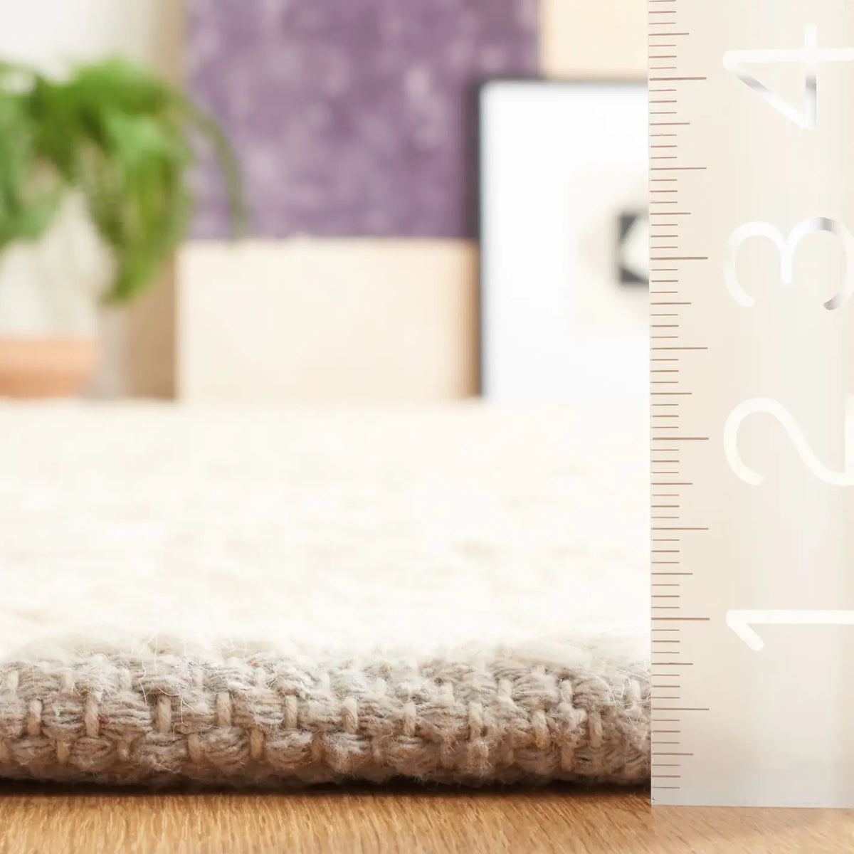 Safavieh Natura 4'-0" x 6'-0" Rug in Beige / Ivory