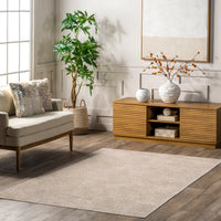 Nuloom Elspeth Casual Faded Bies01C Beige Area Rug