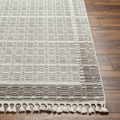 Surya Finland Fnd-2300 Cream, Off-White Area Rug