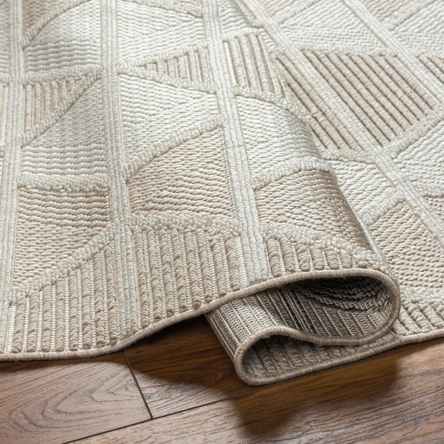 Surya Finland Fnd-2301 Cream, Off-White Rug.