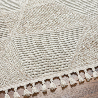 Surya Finland Fnd-2302 Cream, Off-White Area Rug