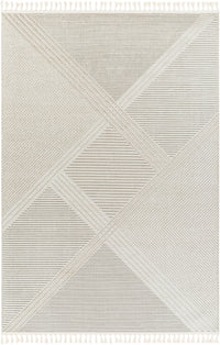 Surya Finland Fnd-2304 Off-White, Cream Area Rug