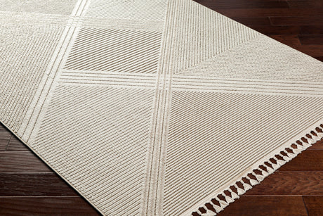 Surya Finland Fnd-2304 Off-White, Cream Rug.