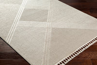 Surya Finland Fnd-2304 Off-White, Cream Area Rug