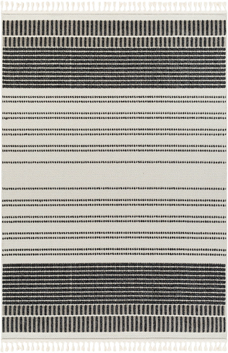 Surya Finland Fnd-2305 Cream, Black Rug.