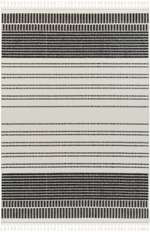 Surya Finland Fnd-2305 Cream, Black Rug.