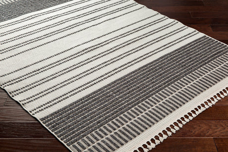 Surya Finland Fnd-2305 Cream, Black Rug.