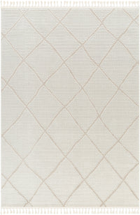 Surya Finland Fnd-2309 Cream Area Rug