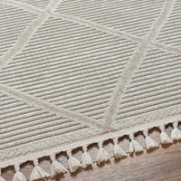 Surya Finland Fnd-2309 Cream Area Rug