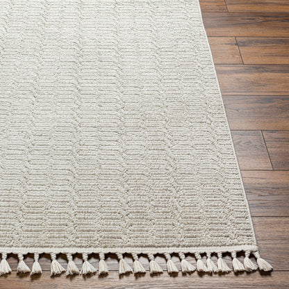 Surya Finland Fnd-2310 Cream Area Rug