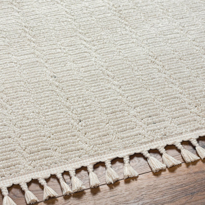 Surya Finland Fnd-2310 Cream Area Rug