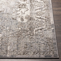 Surya Firenze Fze-2310 Charcoal, Gray, Light Gray Area Rug