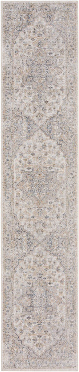 Nourison Astra Machine Washable Asw12 Silver Grey Rug