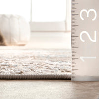 Nuloom Vintage Jodee Cfdr04B Silver Area Rug