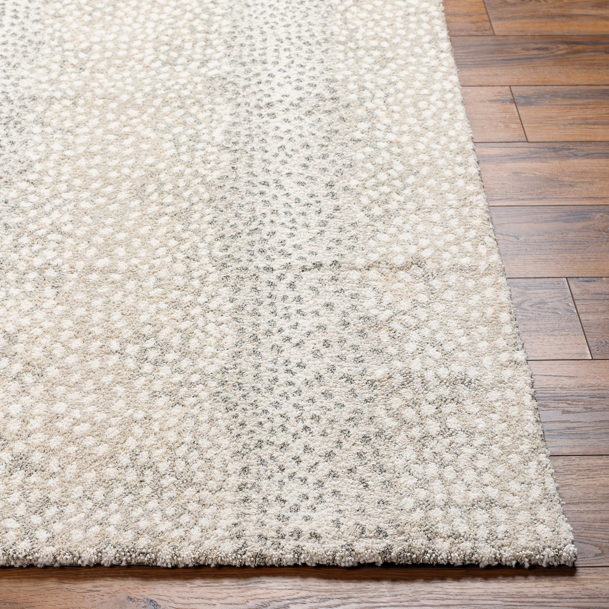 Surya Gavic Gvc-2313 Light Grey, Warm Grey Area Rug