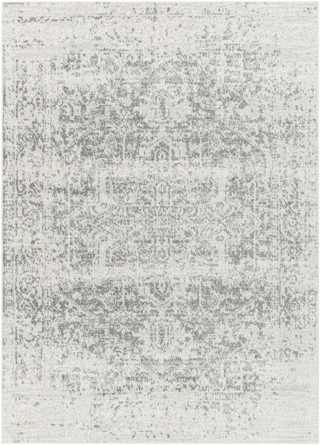 Surya Harput Hap-1024 Charcoal, Medium Gray, Light Beige Rug.