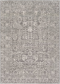 Surya Harput Hap-1029 Black, Light Gray, Beige Rugs