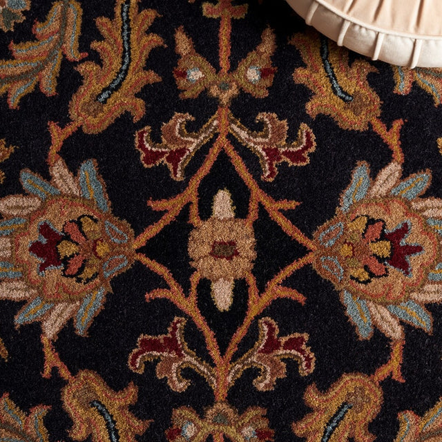 Safavieh Heritage hg628b Black / Beige Rugs