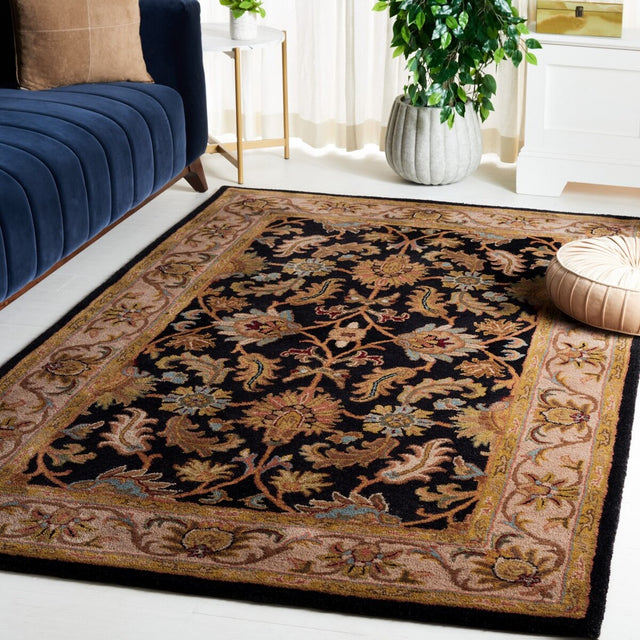 Safavieh Heritage hg628b Black / Beige Rugs