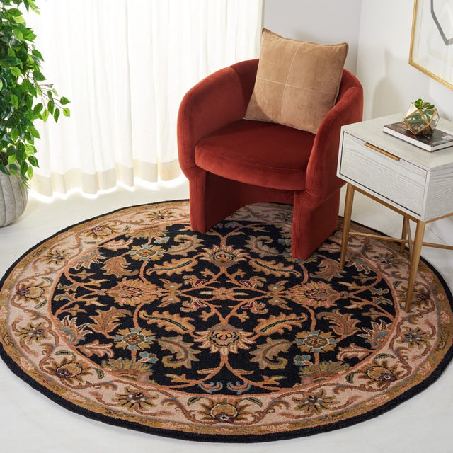 Safavieh Heritage hg628b Black / Beige Rugs