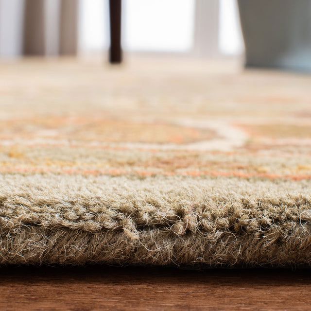 Safavieh Heritage hg959a Light Green / Beige Rugs
