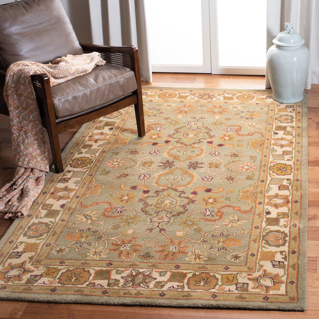 Safavieh Heritage hg959a Light Green / Beige Rugs