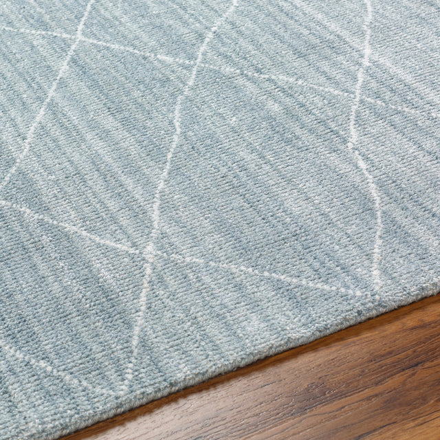 Surya Highland Hhd-2302 Ice Blue, Denim, Pale Blue Rug.