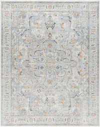 Surya Hassler Hsl-2306 Light Slate, Charcoal, Mustard, Plum Area Rug